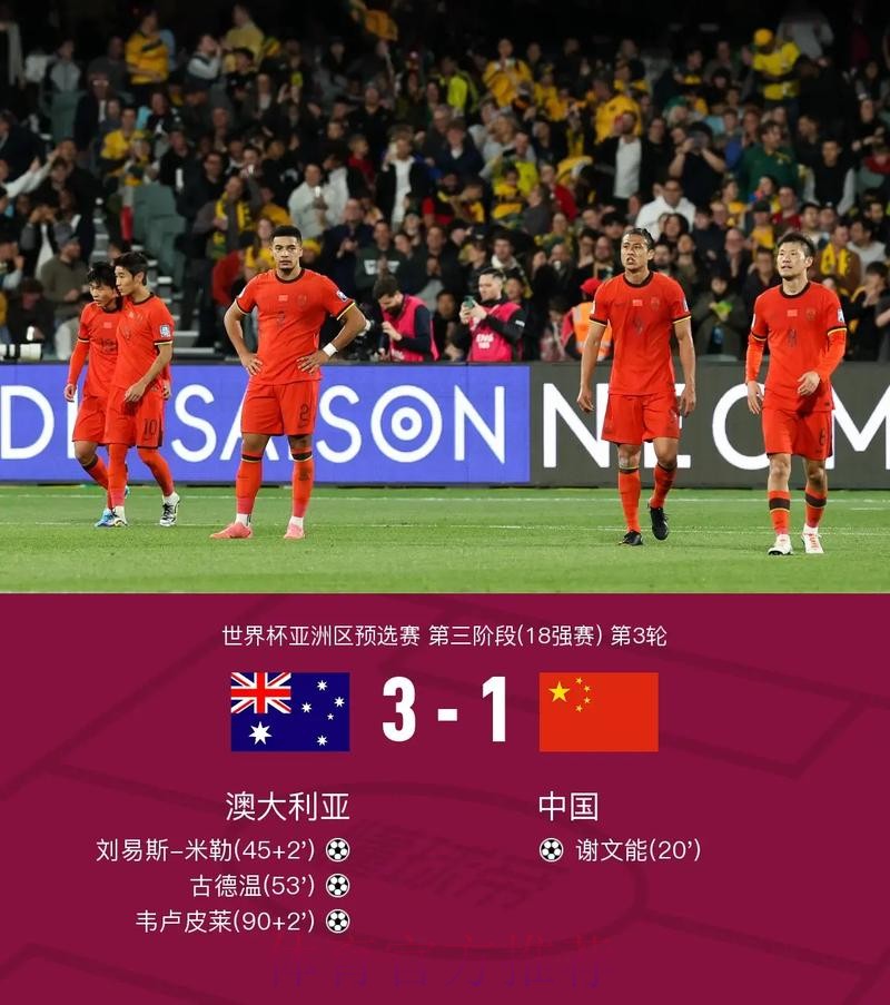 权威世界杯比分网站官方平台